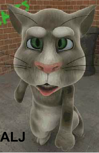 Talking Tom Cat 3 For Android
