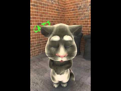 Talking Tom Cat 4