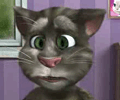 Talking Tom Cat 4 Y8