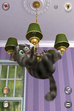 Talking Tom Cat Free Download For Nokia