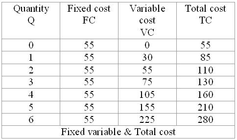 Total Fixed Costs