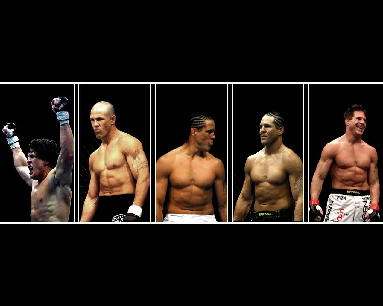 Ufc Fighters Wallpaper