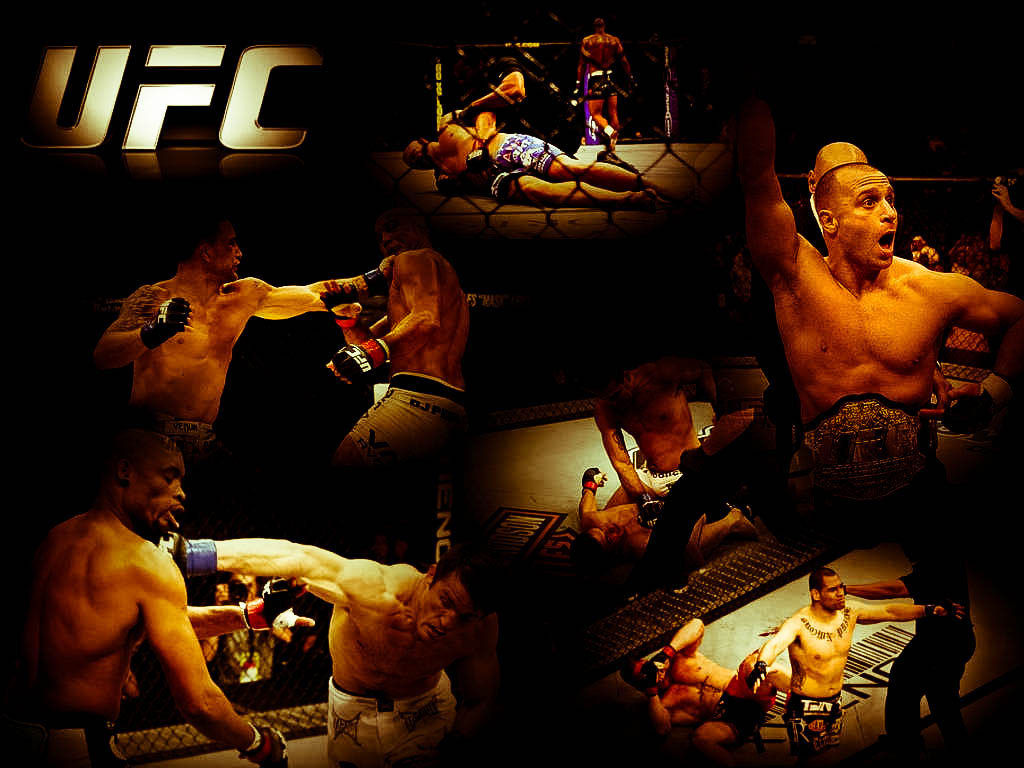 Ufc Fighters Wallpaper