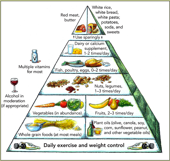 Usda Food Pyramid 2012