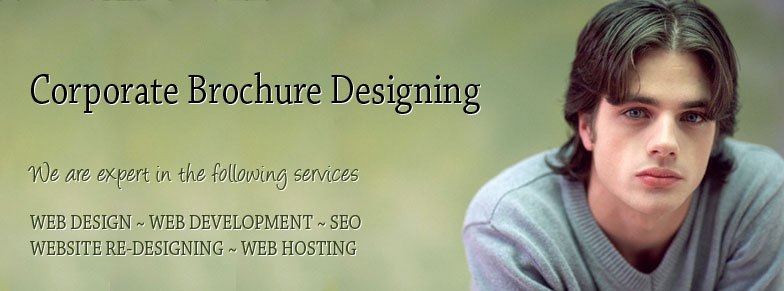 Web Design Company Brochure