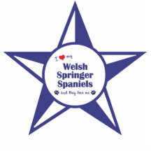 Welsh Springer Spaniel Dogs 101