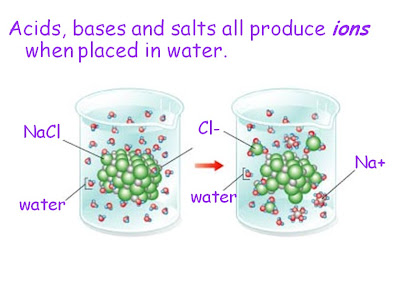 What Are The Properties Of Water In Biology