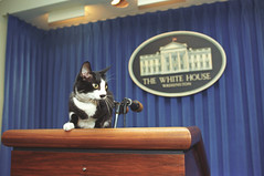 White House Press Room Decor