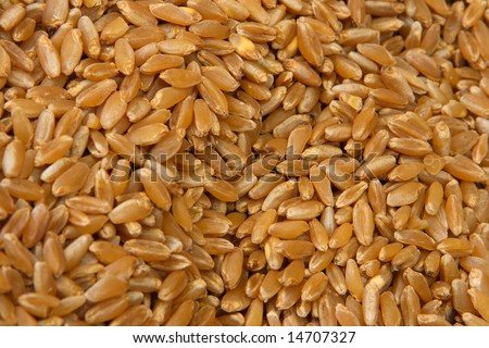 Whole Grains Food List