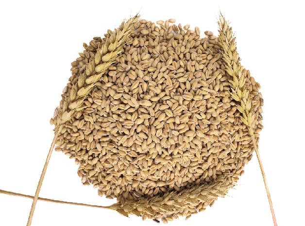 Whole Grains Means
