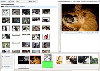 Wikimedia Commons Video