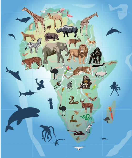 Wild Animals In Africa