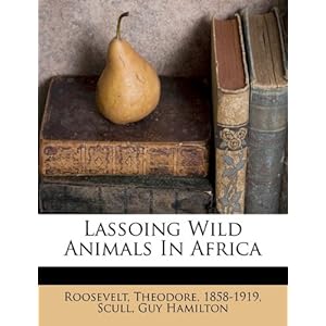 Wild Animals In Africa List