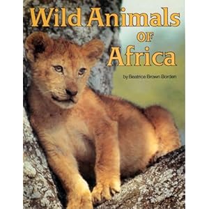 Wild Animals In Africa Photos