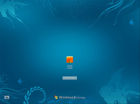 Windows 8 Logon Background