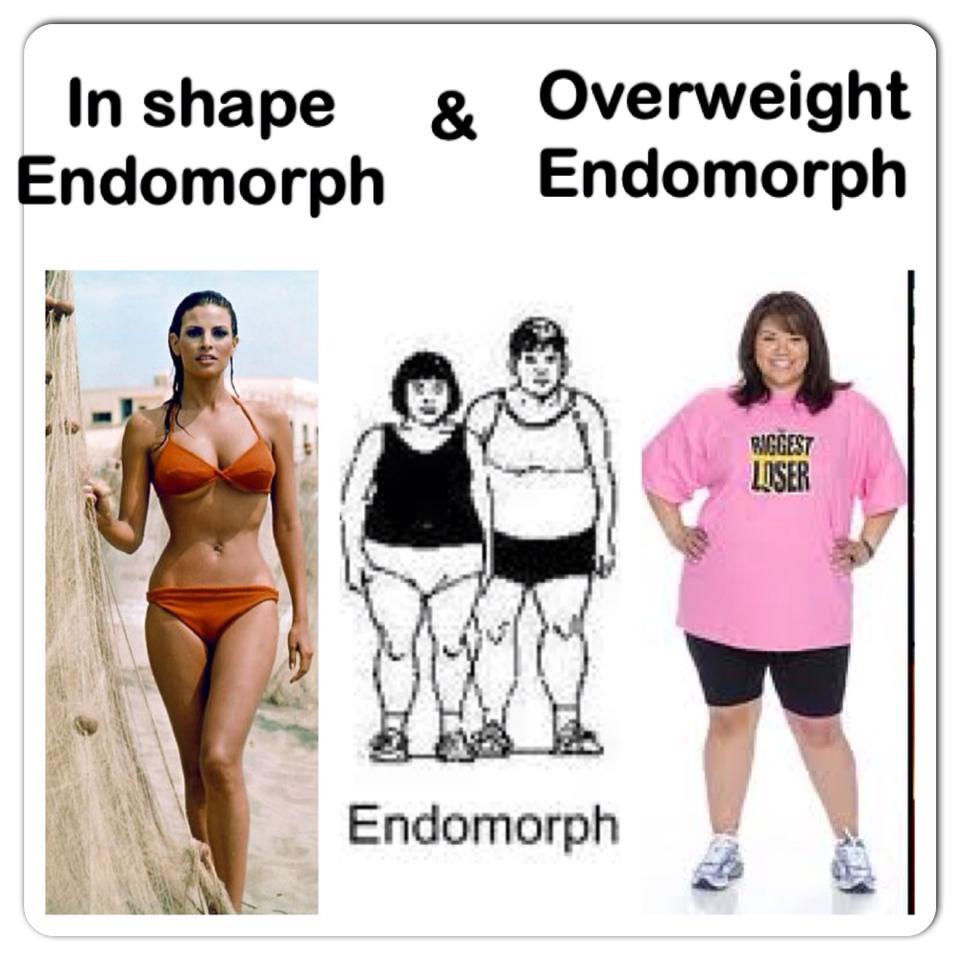 Women Body Types Endomorph