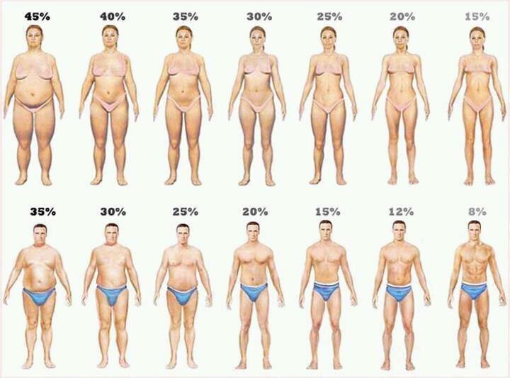 Women Body Types Endomorph