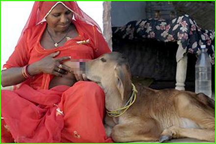 Women Breastfeeding Animals Photos