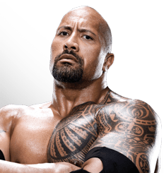 Wwe The Rock 2013 Plans
