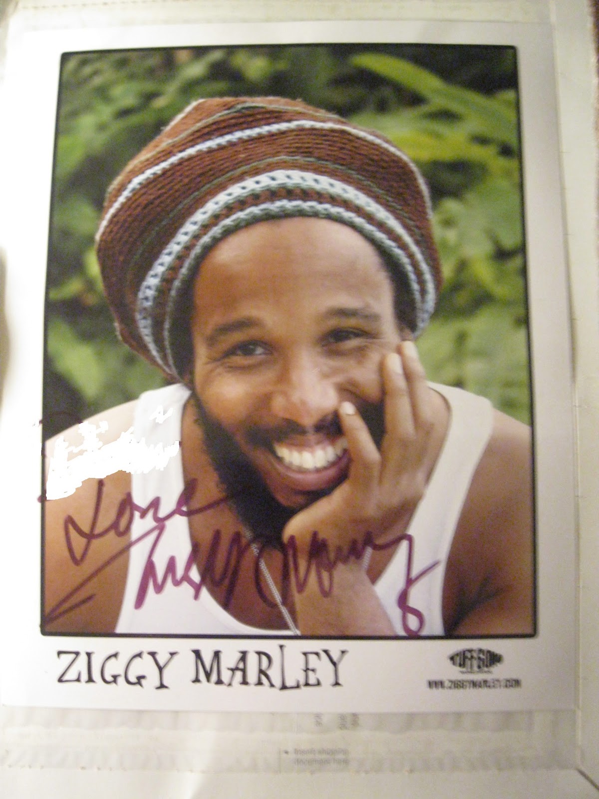 Ziggy Marley And The Melody Makers Conscious Party