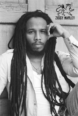 Ziggy Marley And The Melody Makers Discography
