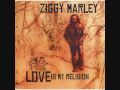 Ziggy Marley Love Is My Religion Album Download Free