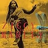 Ziggy Marley Love Is My Religion Mp3